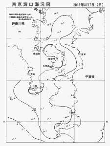 東京湾口海況図(2016/08/07)