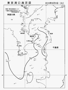 東京湾口海況図(2016/08/09)
