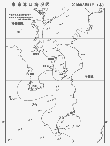 東京湾口海況図(2016/08/11)