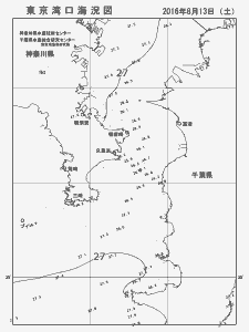 東京湾口海況図(2016/08/13)