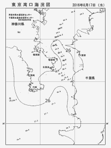 東京湾口海況図(2016/08/17)