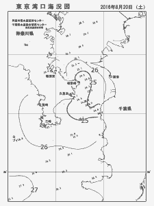 東京湾口海況図(2016/08/20)