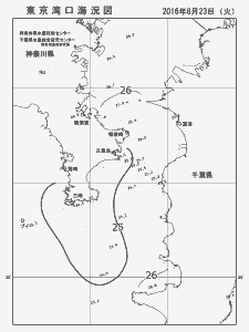 東京湾口海況図(2016/08/23)
