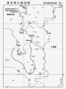 東京湾口海況図(2016/08/24)