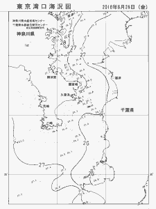 東京湾口海況図(2016/08/26)