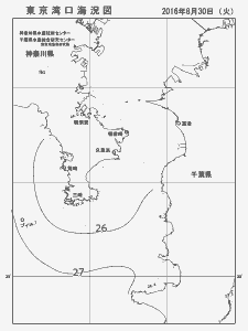 東京湾口海況図(2016/08/30)