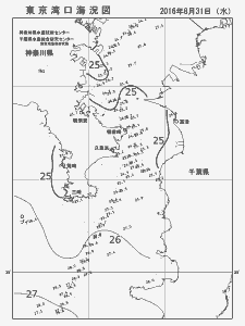 東京湾口海況図(2016/08/31)