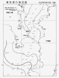 東京湾口海況図(2016/09/23)