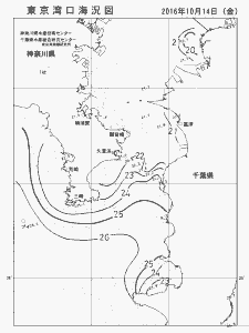 東京湾口海況図(2016/10/14)