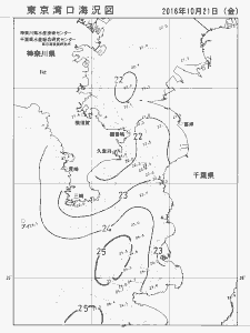 東京湾口海況図(2016/10/21)