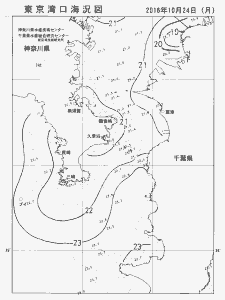 東京湾口海況図(2016/10/24)