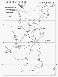 東京湾口海況図(2016/10/26)