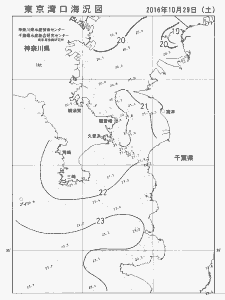 東京湾口海況図(2016/10/29)