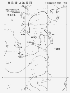 東京湾口海況図(2016/10/31)