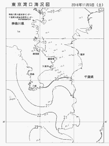 東京湾口海況図(2016/11/05)