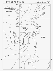 東京湾口海況図(2016/11/07)