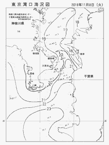 東京湾口海況図(2016/11/08)