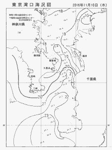 東京湾口海況図(2016/11/10)