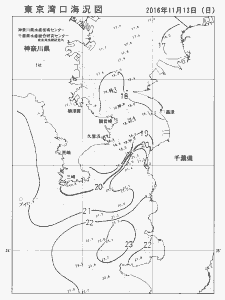 東京湾口海況図(2016/11/13)