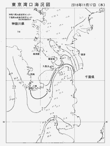 東京湾口海況図(2016/11/17)