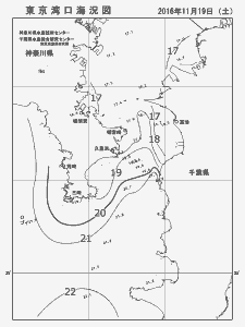 東京湾口海況図(2016/11/19)
