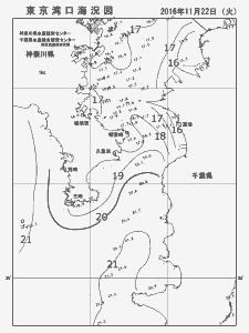 東京湾口海況図(2016/11/22)
