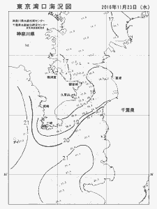 東京湾口海況図(2016/11/23)