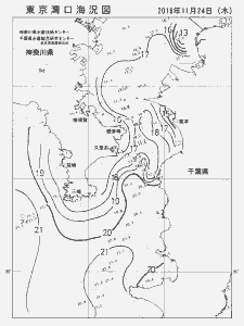 東京湾口海況図(2016/11/24)