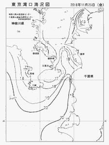東京湾口海況図(2016/11/25)