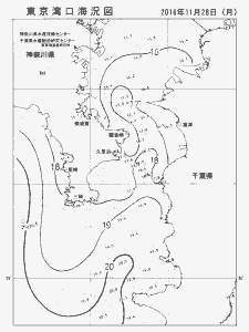 東京湾口海況図(2016/11/28)