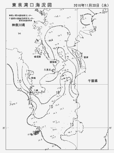 東京湾口海況図(2016/11/30)