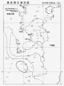 東京湾口海況図(2016/12/06)
