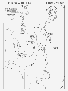 東京湾口海況図(2016/12/07)