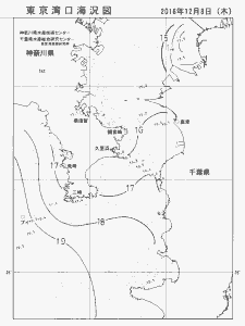 東京湾口海況図(2016/12/08)