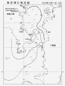 東京湾口海況図(2016/12/11)