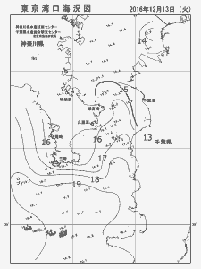東京湾口海況図(2016/12/13)