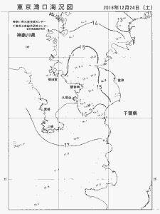 東京湾口海況図(2016/12/24)