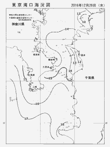 東京湾口海況図(2016/12/28)