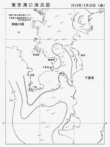 東京湾口海況図(2016/12/30)
