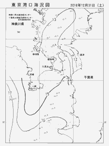 東京湾口海況図(2016/12/31)