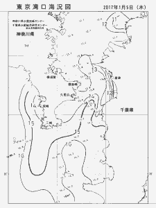 東京湾口海況図(2017/01/05)