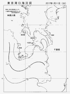東京湾口海況図(2017/01/11)