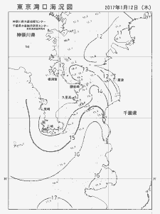 東京湾口海況図(2017/01/12)