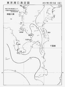 東京湾口海況図(2017/01/15)