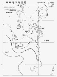 東京湾口海況図(2017/01/17)