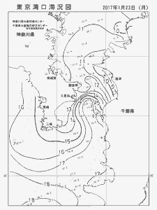 東京湾口海況図(2017/01/23)