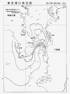 東京湾口海況図(2017/01/24)