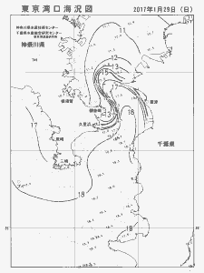 東京湾口海況図(2017/01/29)