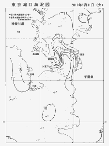 東京湾口海況図(2017/01/31)