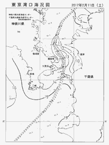 東京湾口海況図(2017/02/11)